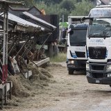 L'affaire de maltraitance animale de Hefenhofen (TG) a entraîné la fermeture de l'exploitation et la saisie des animaux (archives).